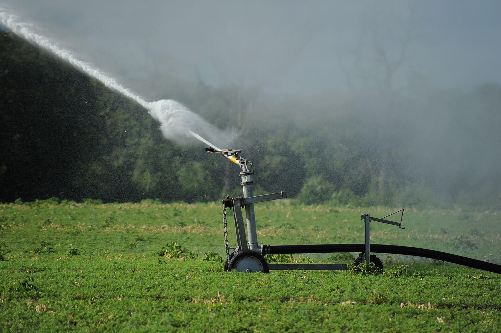 Sprinkler irrigation watering a green crop field