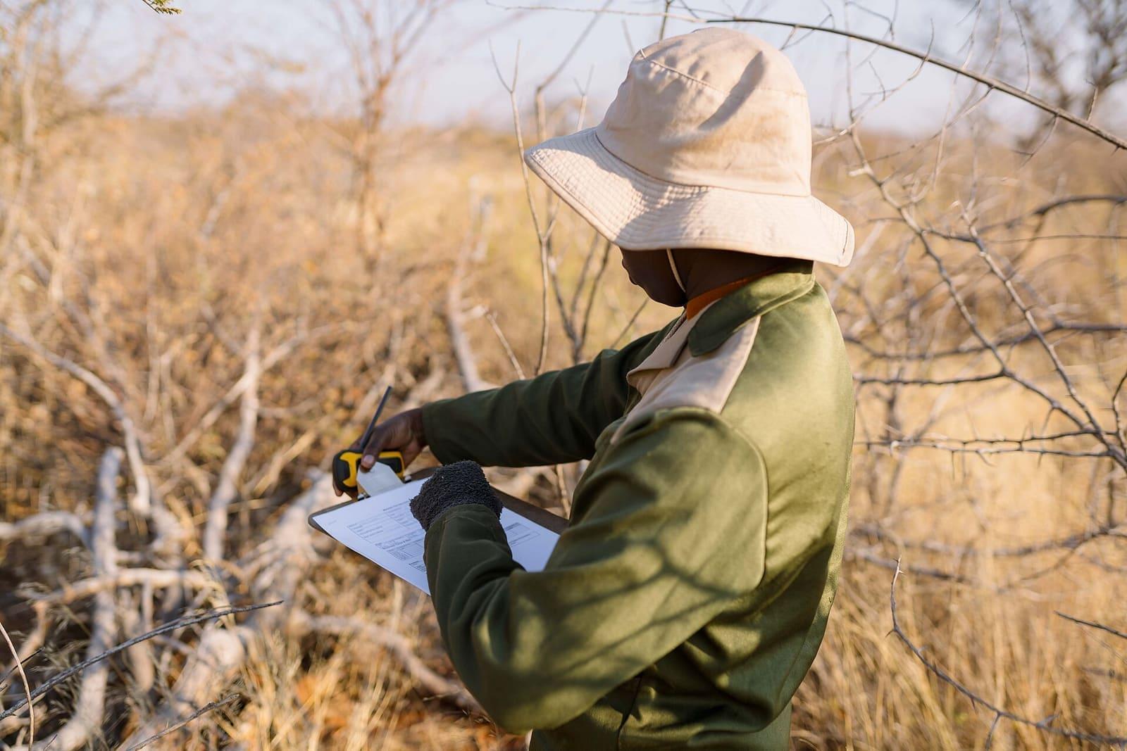 A researcher taking soil and vegetation samples in a field